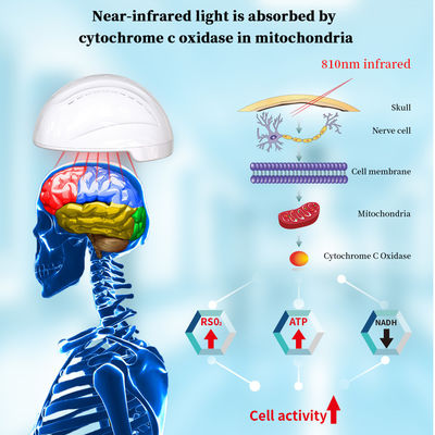 Photobiomodulations-Sturzhelm Licht 810nm Infrarot-LED für Alzheimer Verbessern