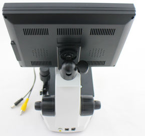 Berufsmikrozirkulation Mikroskop-/Nailfold-haarartige Mikroskopie mit CCD-Videokamera