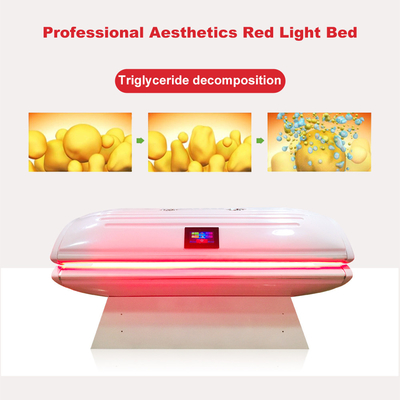 Fotodynamisches rotes helles Kollagen-Bett PDT für Körper Sculpting